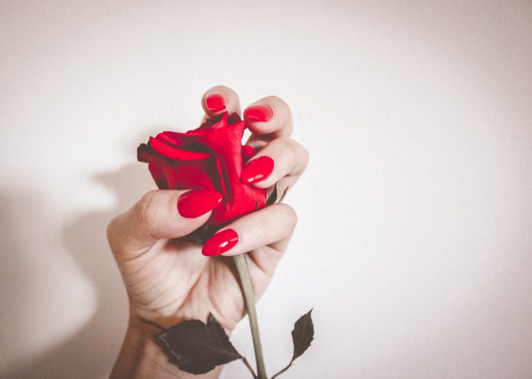 hand-girl-woman-flower-petal-love-688987-pxhere.com